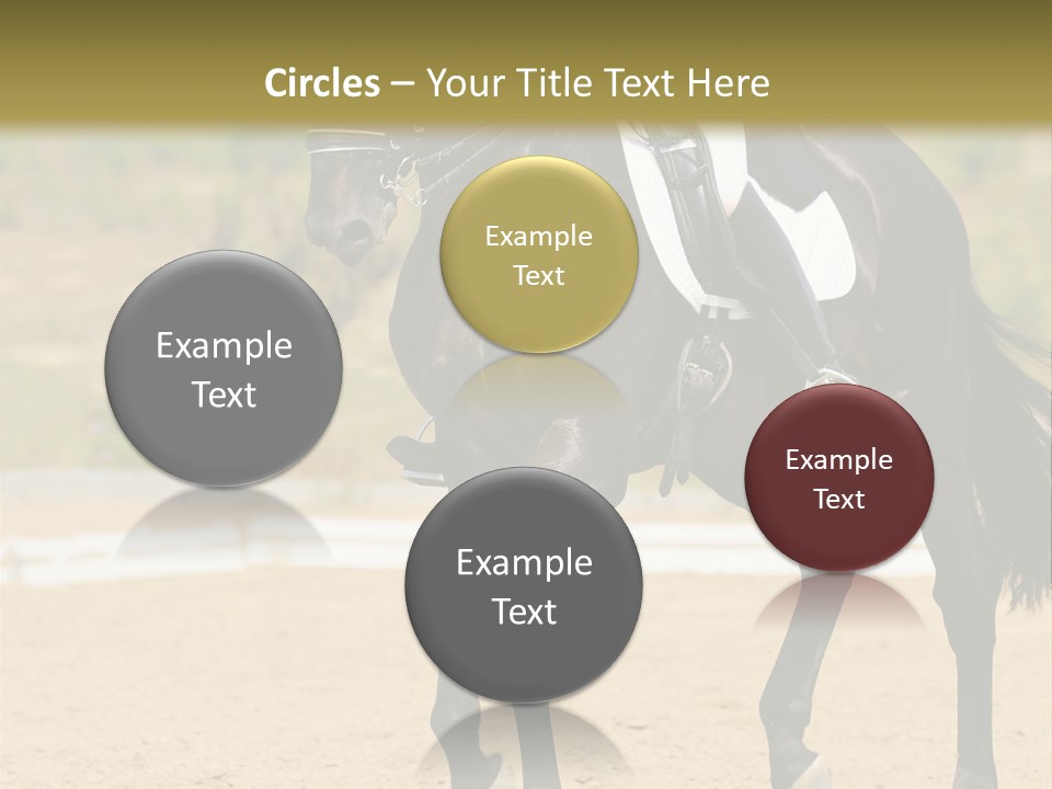 Bridle Dressing Dapple PowerPoint Template