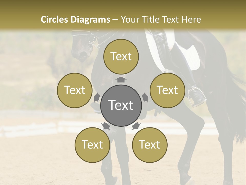 Bridle Dressing Dapple PowerPoint Template