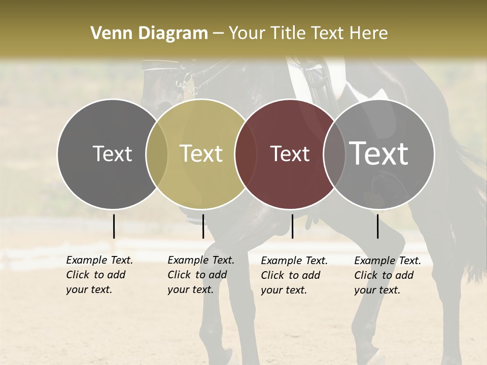 Bridle Dressing Dapple PowerPoint Template