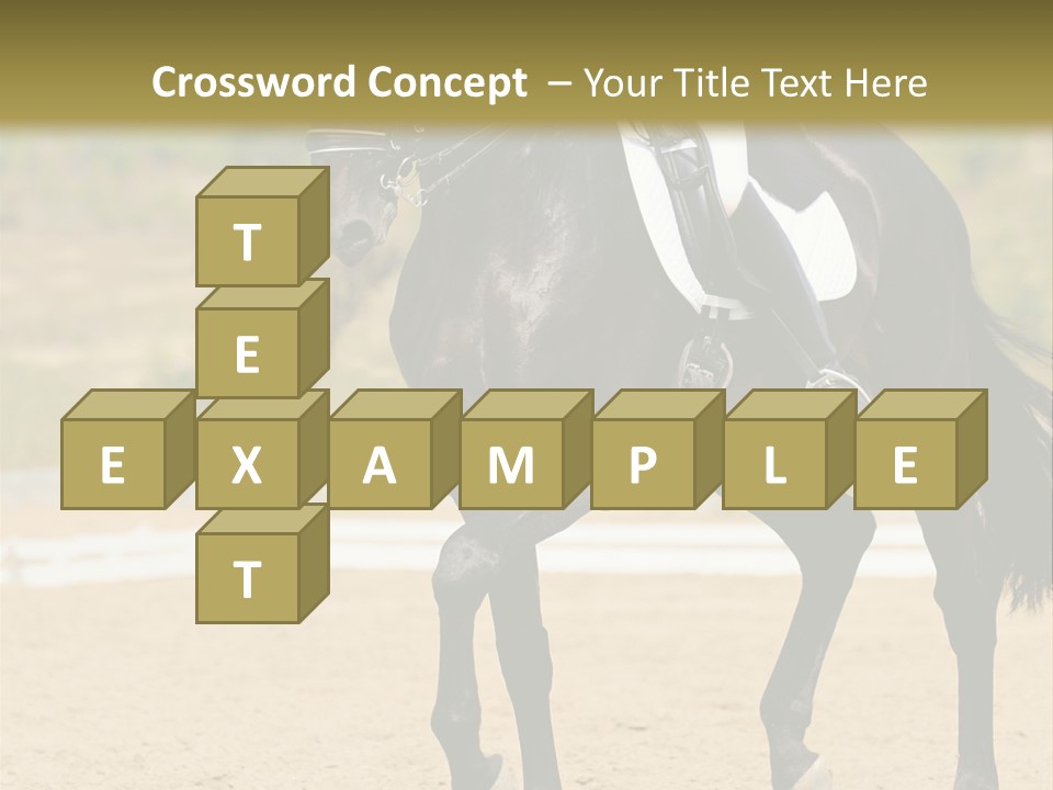 Bridle Dressing Dapple PowerPoint Template