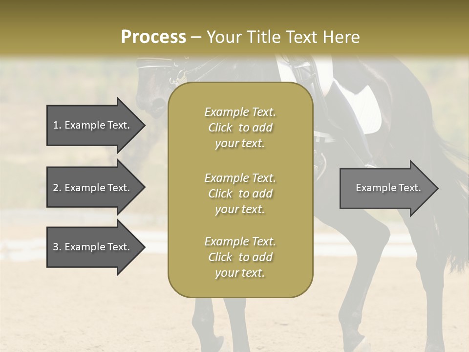 Bridle Dressing Dapple PowerPoint Template