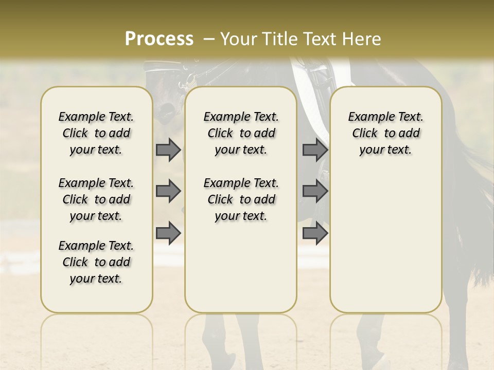 Bridle Dressing Dapple PowerPoint Template