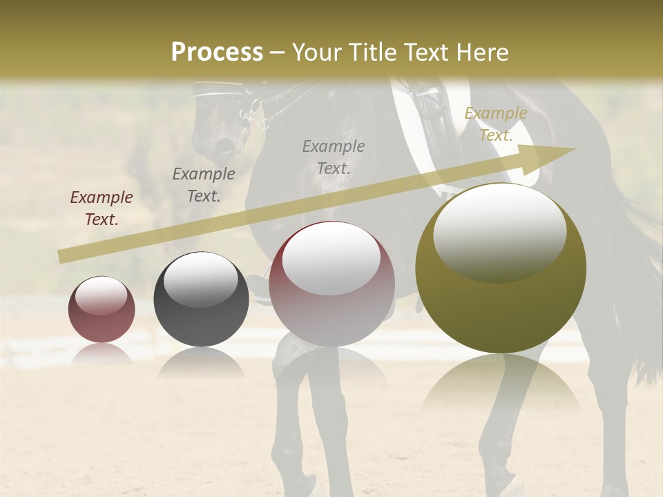 Bridle Dressing Dapple PowerPoint Template