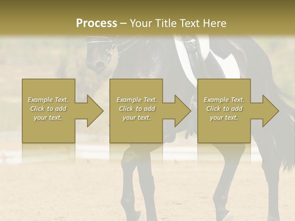 Bridle Dressing Dapple PowerPoint Template