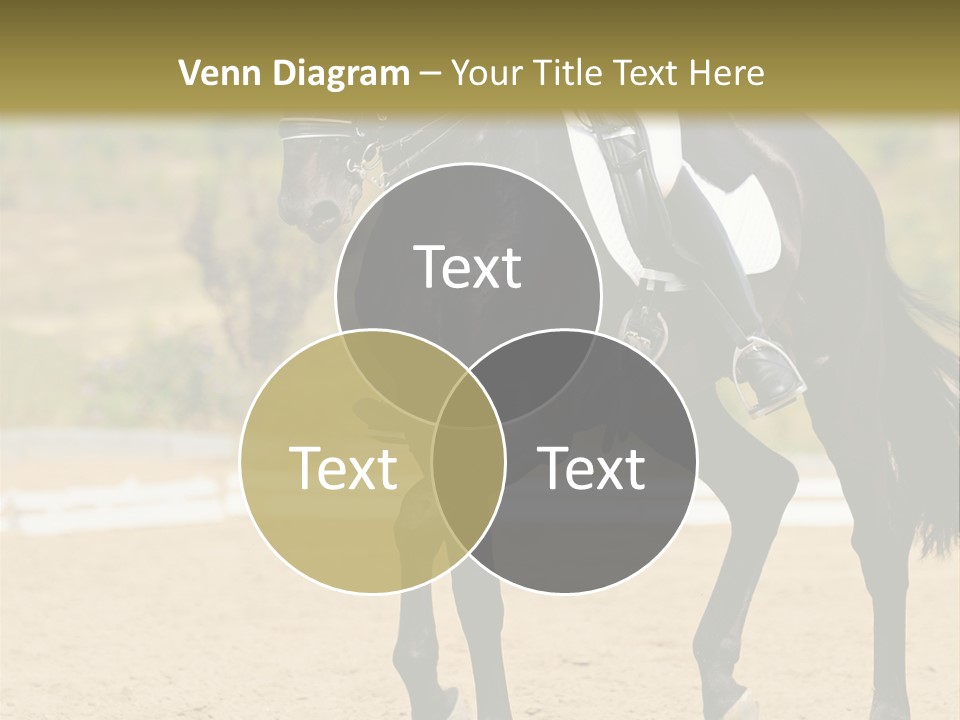 Bridle Dressing Dapple PowerPoint Template