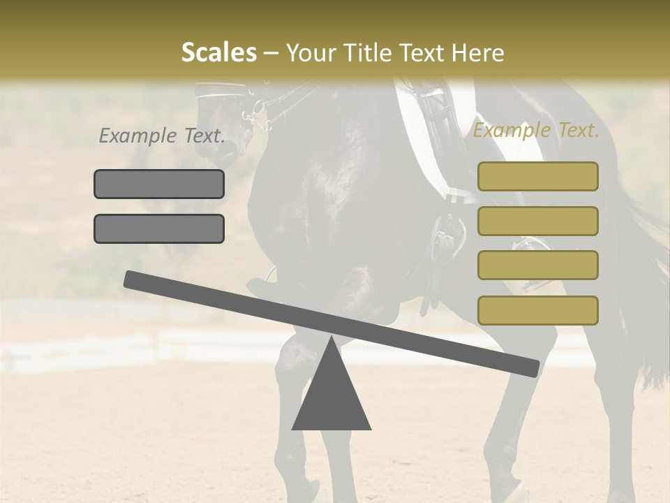 Bridle Dressing Dapple PowerPoint Template