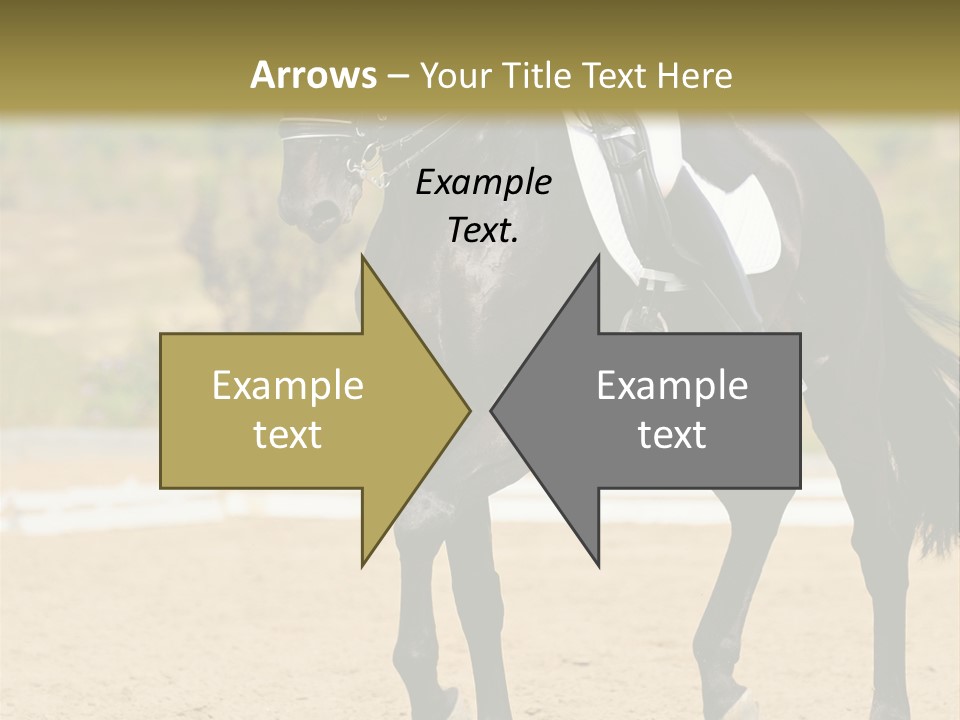 Bridle Dressing Dapple PowerPoint Template