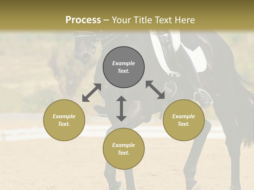 Bridle Dressing Dapple PowerPoint Template