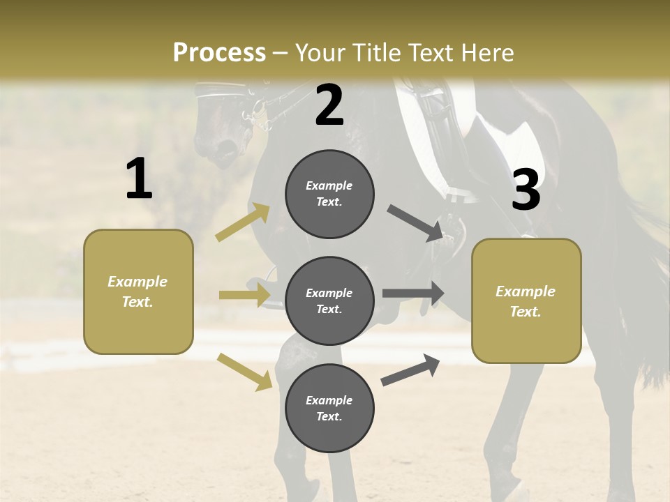 Bridle Dressing Dapple PowerPoint Template