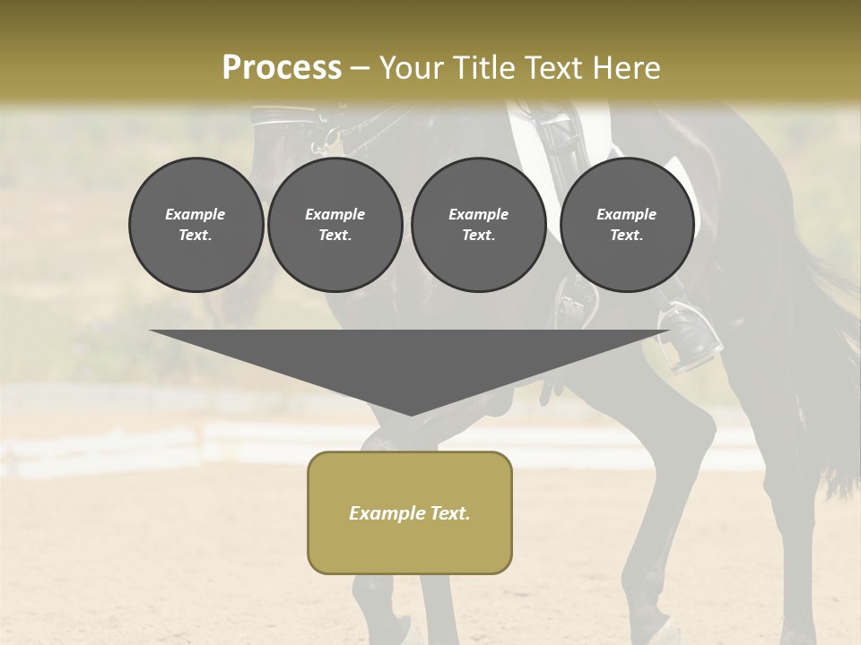 Bridle Dressing Dapple PowerPoint Template