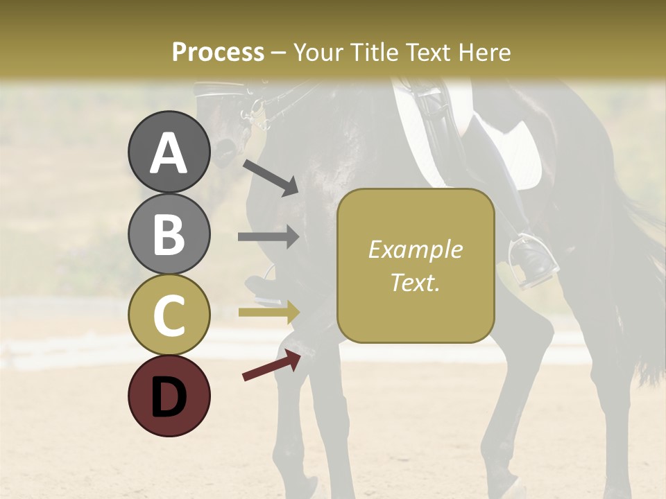 Bridle Dressing Dapple PowerPoint Template