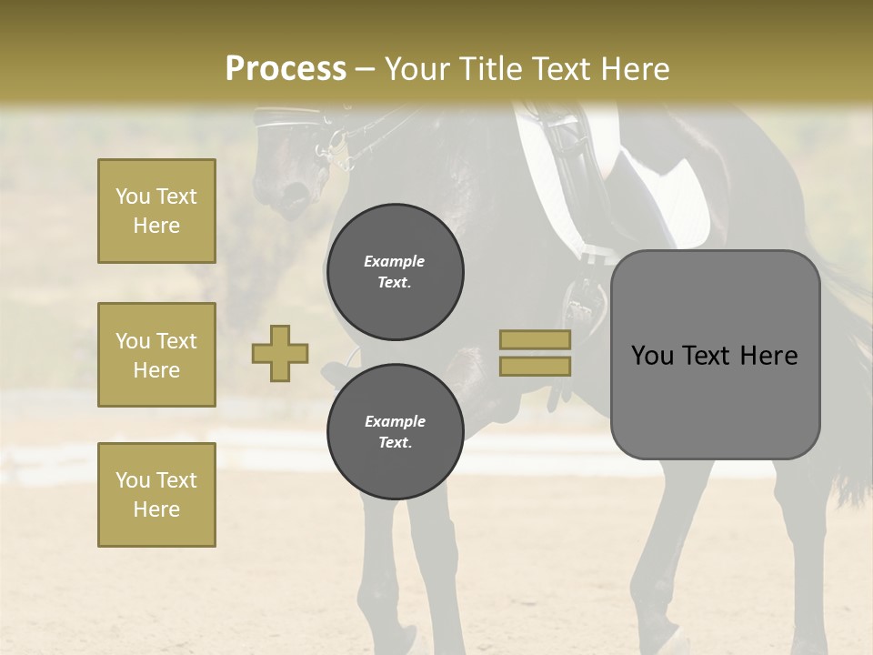 Bridle Dressing Dapple PowerPoint Template