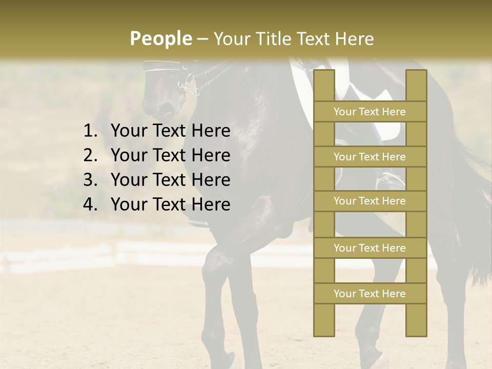 Bridle Dressing Dapple PowerPoint Template