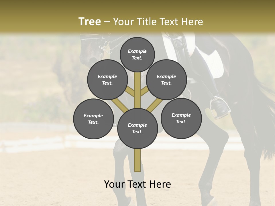 Bridle Dressing Dapple PowerPoint Template
