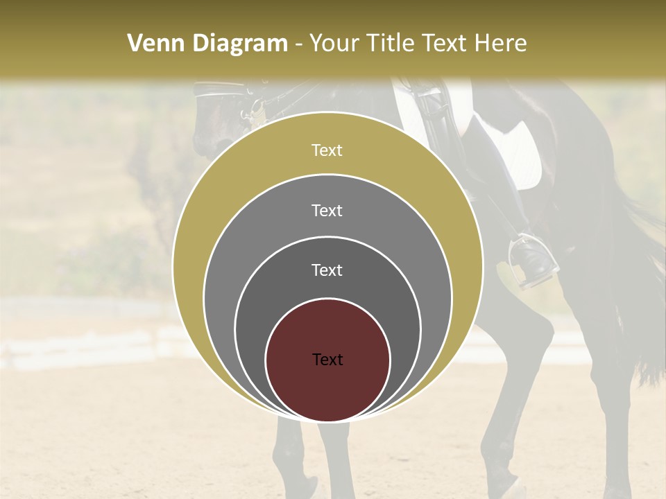 Bridle Dressing Dapple PowerPoint Template
