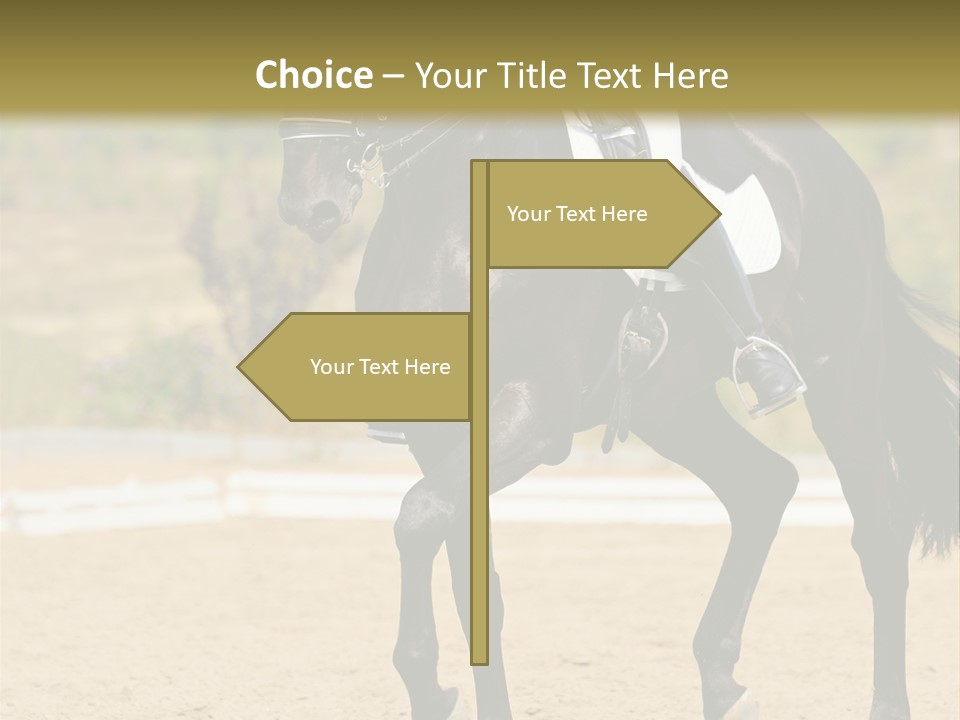 Bridle Dressing Dapple PowerPoint Template