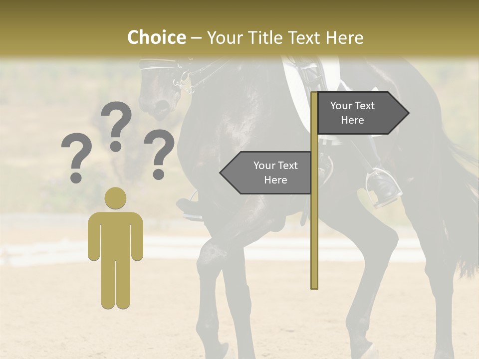 Bridle Dressing Dapple PowerPoint Template