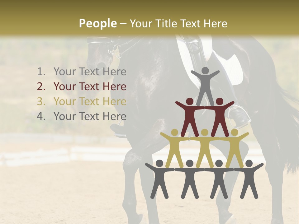 Bridle Dressing Dapple PowerPoint Template