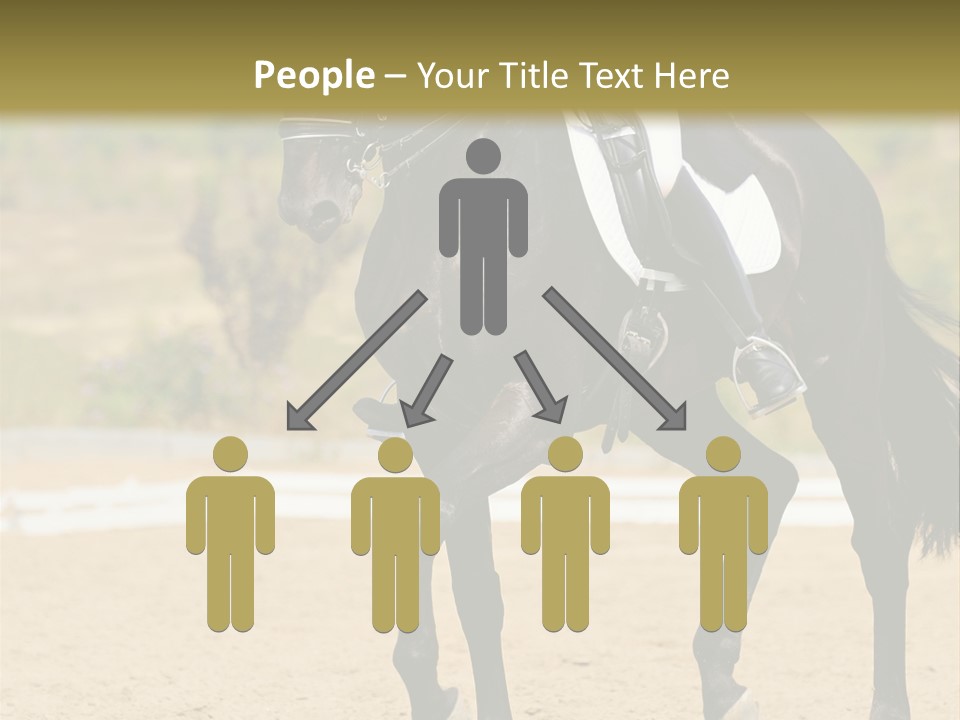 Bridle Dressing Dapple PowerPoint Template