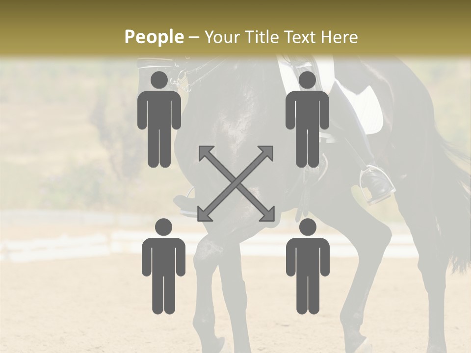 Bridle Dressing Dapple PowerPoint Template