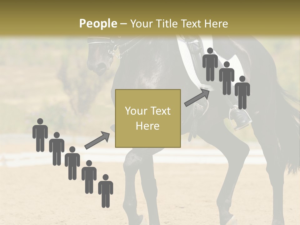 Bridle Dressing Dapple PowerPoint Template