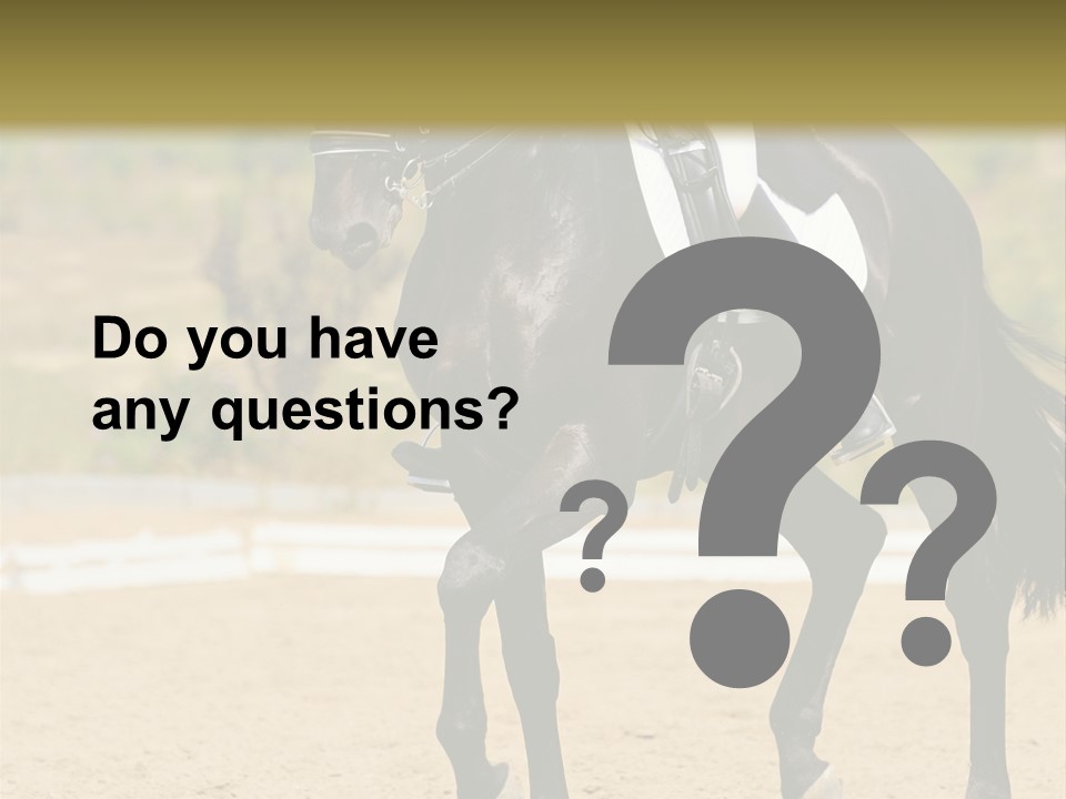 Bridle Dressing Dapple PowerPoint Template