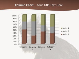 Strong Power Forest PowerPoint Template