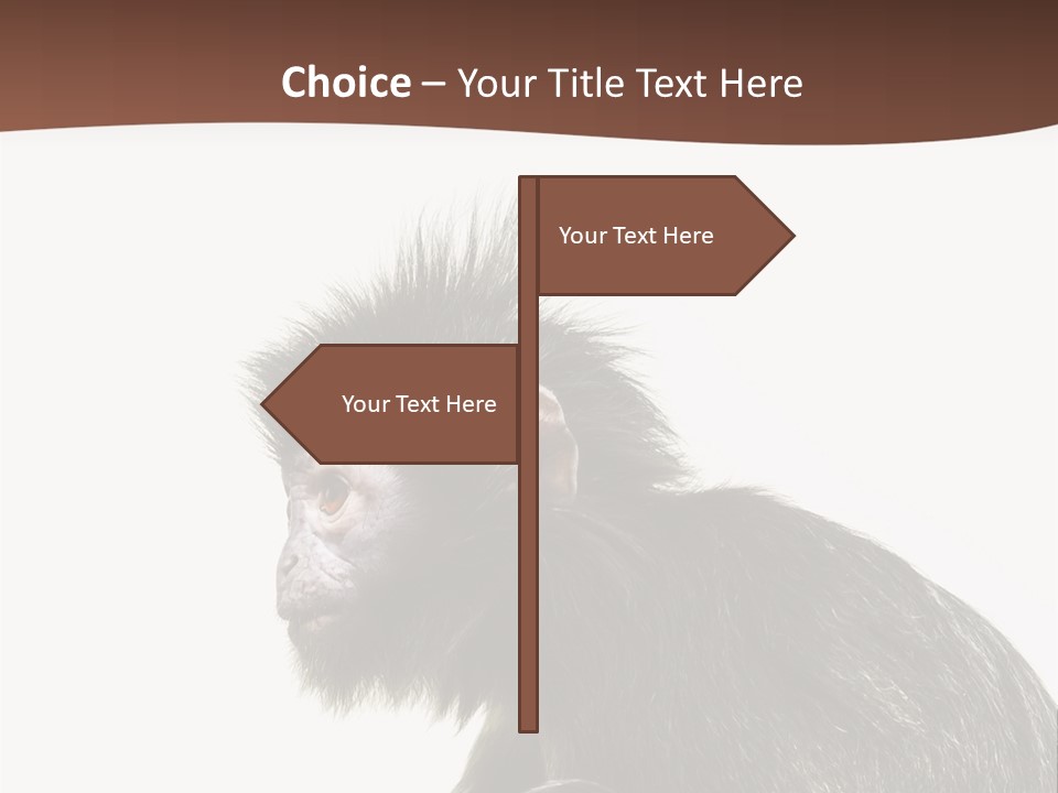 Strong Power Forest PowerPoint Template