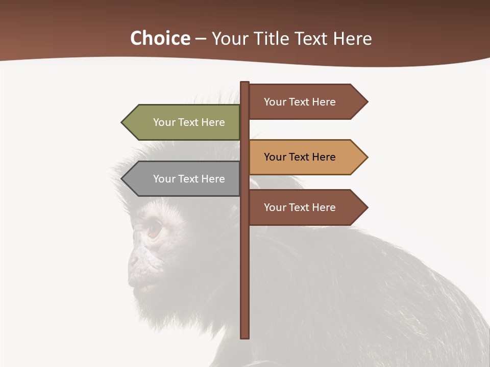 Strong Power Forest PowerPoint Template