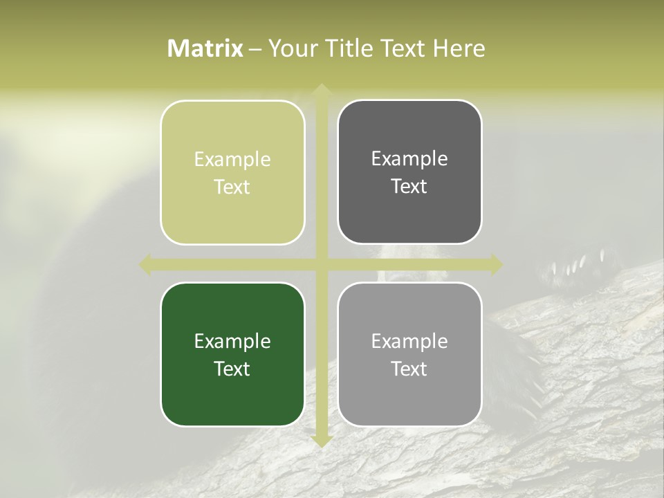 Ursus Playful Meadow PowerPoint Template