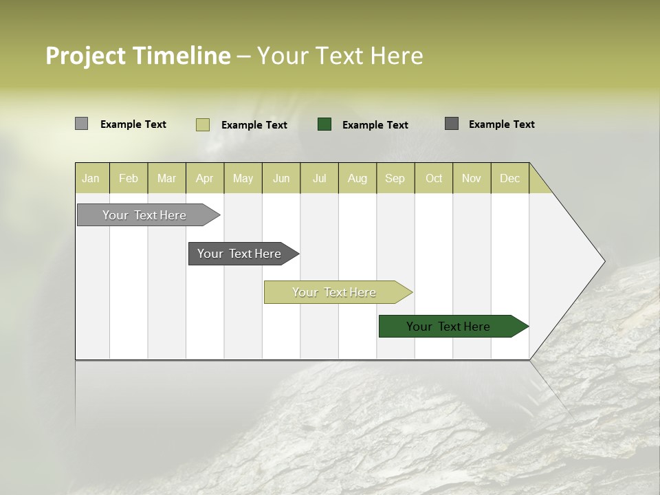 Ursus Playful Meadow PowerPoint Template