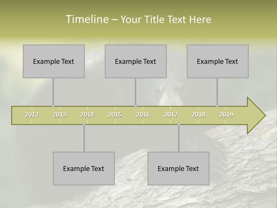 Ursus Playful Meadow PowerPoint Template