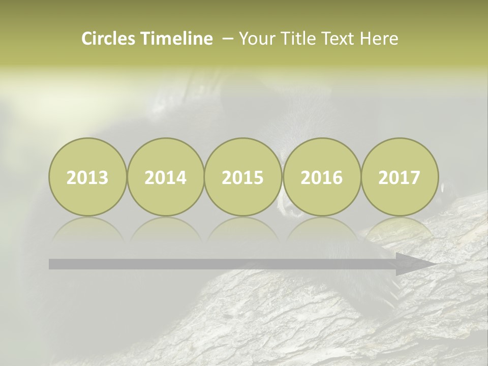 Ursus Playful Meadow PowerPoint Template