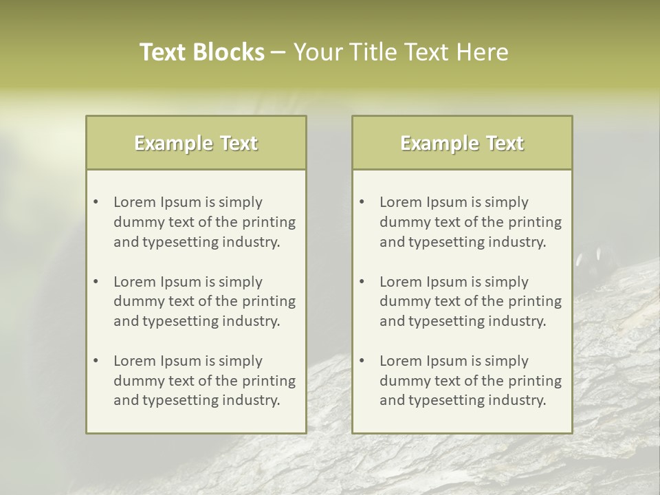 Ursus Playful Meadow PowerPoint Template