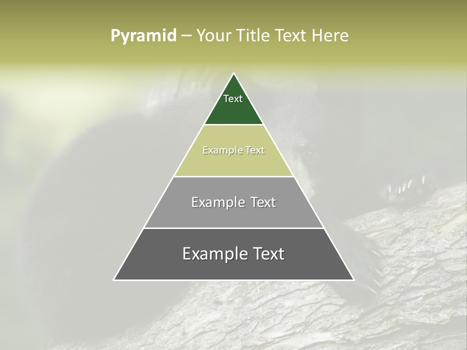 Ursus Playful Meadow PowerPoint Template