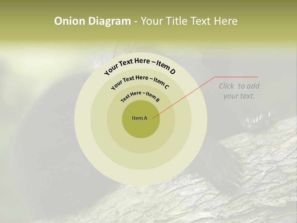 Ursus Playful Meadow PowerPoint Template