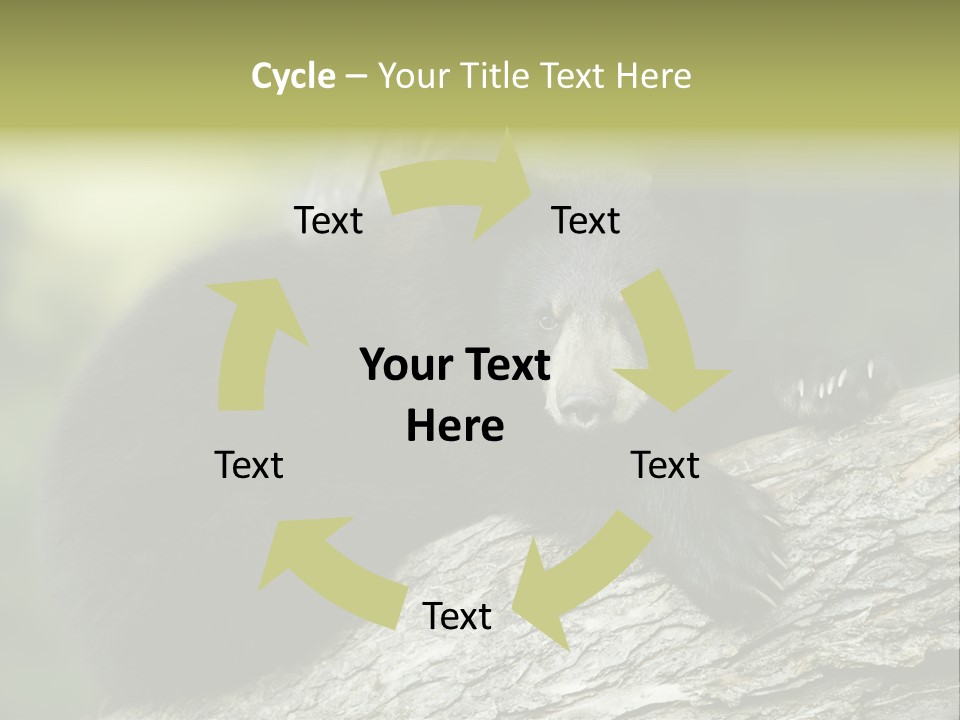 Ursus Playful Meadow PowerPoint Template
