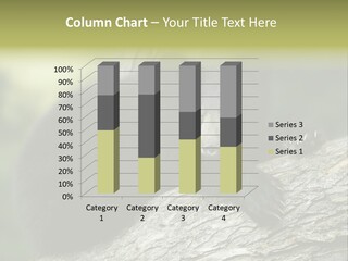 Ursus Playful Meadow PowerPoint Template