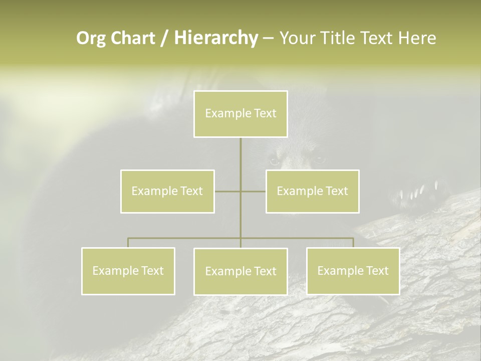 Ursus Playful Meadow PowerPoint Template