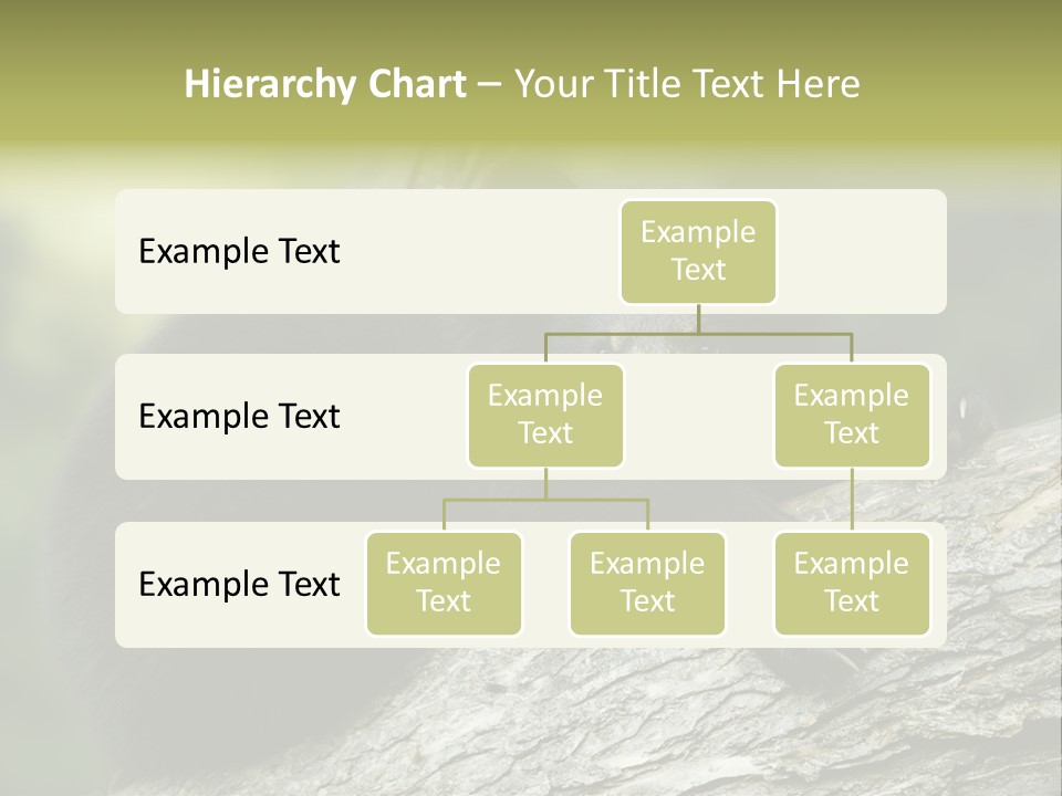 Ursus Playful Meadow PowerPoint Template