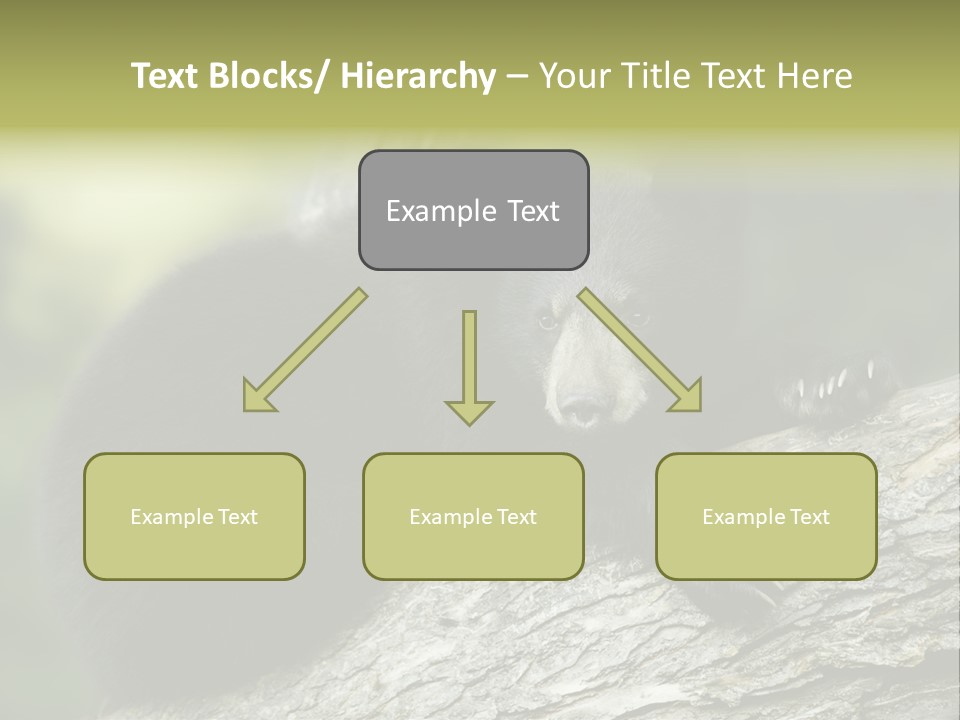 Ursus Playful Meadow PowerPoint Template