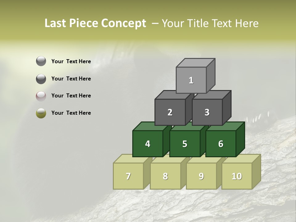 Ursus Playful Meadow PowerPoint Template