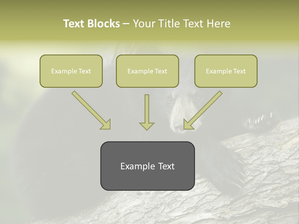 Ursus Playful Meadow PowerPoint Template