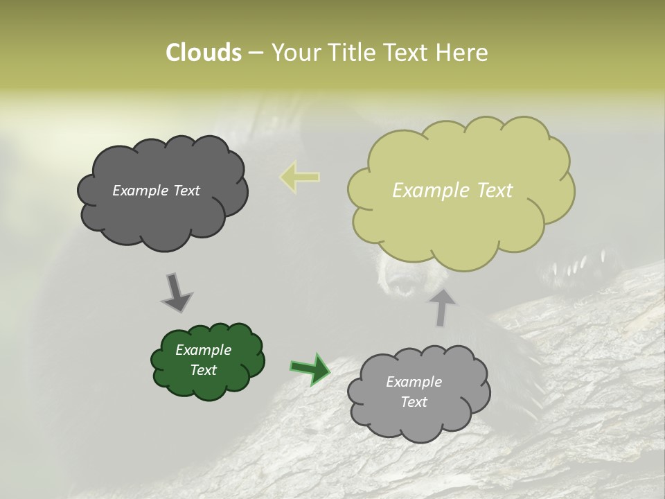 Ursus Playful Meadow PowerPoint Template
