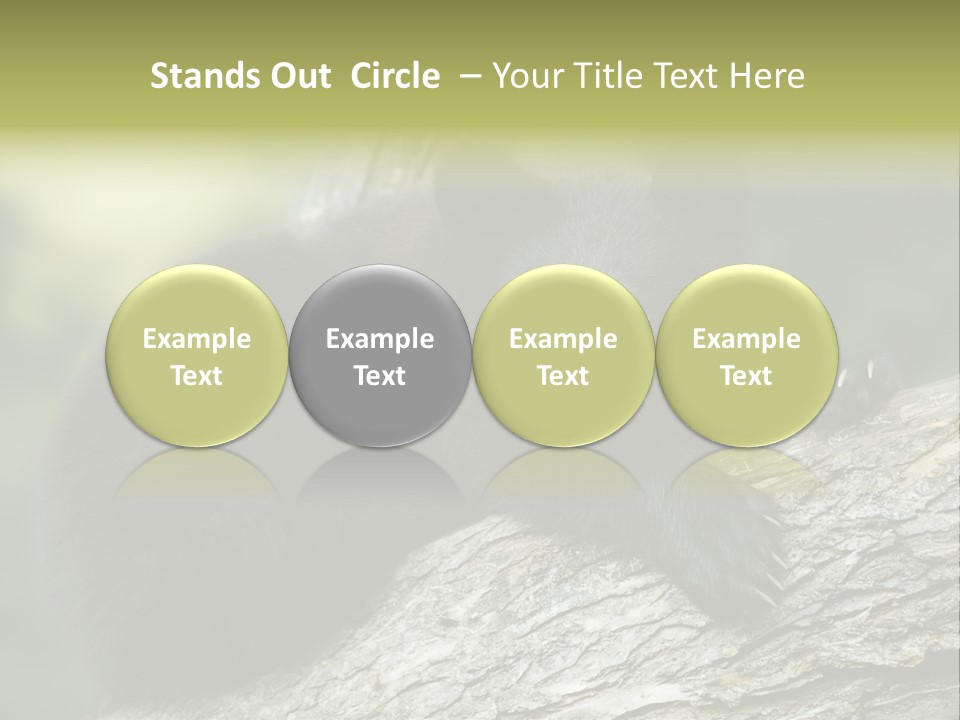 Ursus Playful Meadow PowerPoint Template