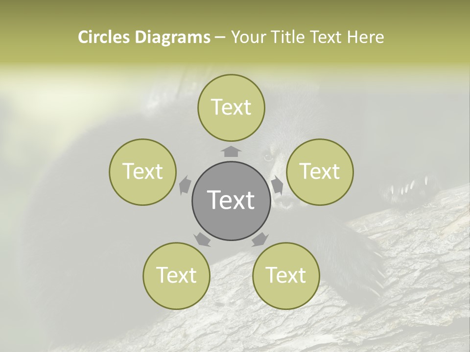 Ursus Playful Meadow PowerPoint Template