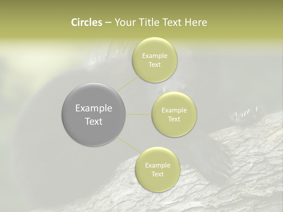 Ursus Playful Meadow PowerPoint Template