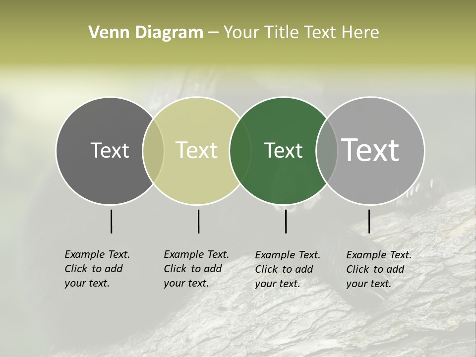 Ursus Playful Meadow PowerPoint Template