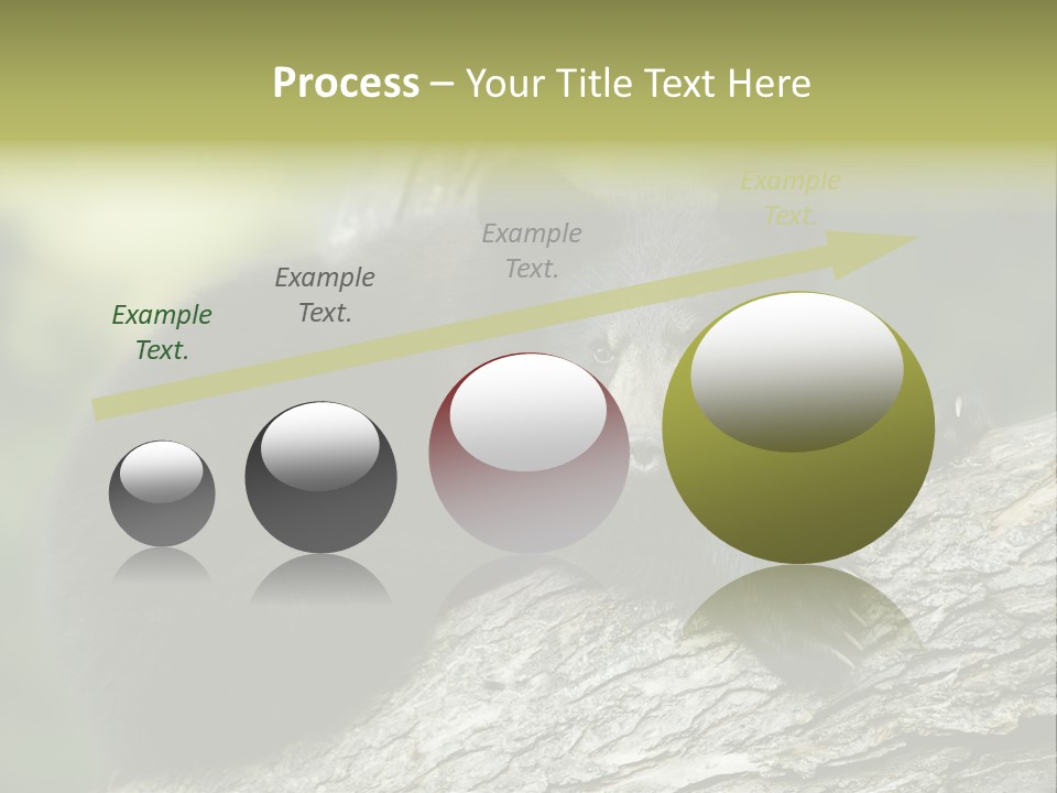 Ursus Playful Meadow PowerPoint Template