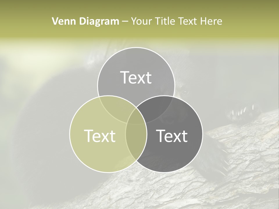 Ursus Playful Meadow PowerPoint Template